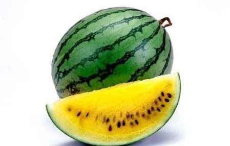 吃瓜吐籽视频素材下载,跟随吃瓜吐籽视频，体验夏日清凉时光