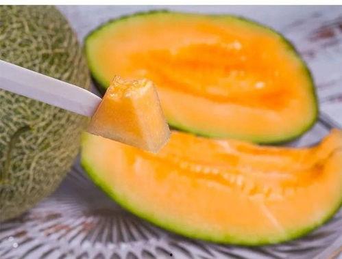 吃哈密瓜儿童视频,宝贝们的甜蜜探险之旅