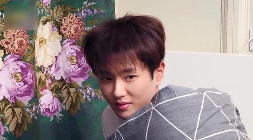 李振宁现场吃瓜事件视频,揭秘明星私下真实一面