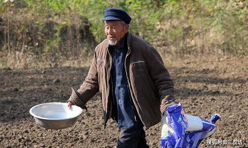 农民吃土瓜的视频大全图片,农民朋友们的独特饮食习惯揭秘