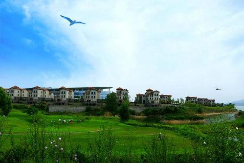 莱芜雪野湖吃瓜事件视频