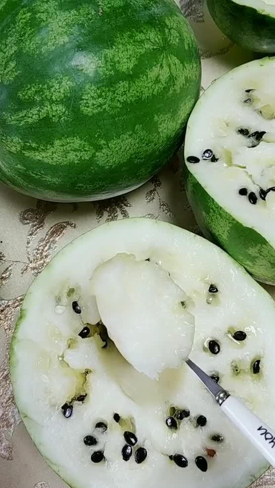 东北人吃蒲瓜视频,蒲瓜美食大赏，视频带你领略东北家常美味