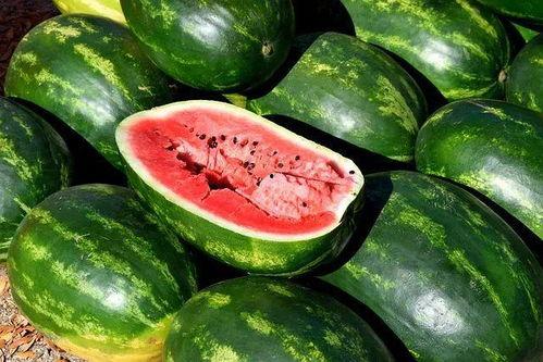 吃瓜视频图文素材,图文素材背后的趣味与真相
